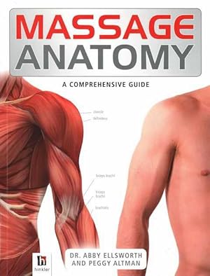 Massage Anatomy: A Comprehensive Guide