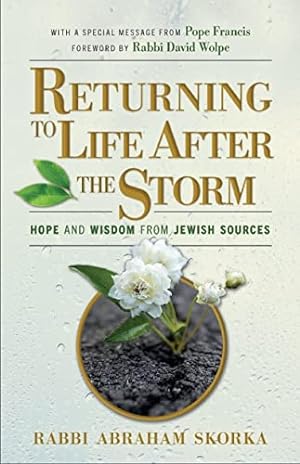 Immagine del venditore per Returning to Life After the Storm: Hope and Wisdom from Jewish Sources venduto da ZBK Books