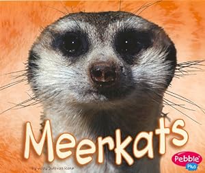 Seller image for African Animals: Meerkats for sale by WeBuyBooks