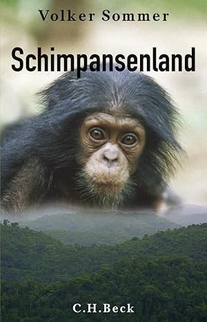 Schimpansenland Wildes Leben in Afrika