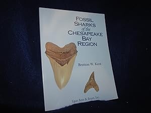 Fossil Sharks of the Chesapeake Bay Region