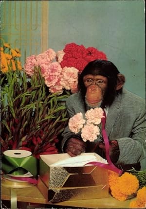 Ansichtskarte / Postkarte Vermenschlichte Schimpanse, Anzug, Blumenstrauß, Affe