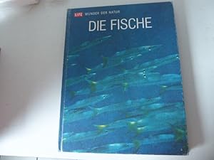 Imagen del vendedor de Die Fische. Life - Wunder der Natur. Hardcover a la venta por Deichkieker Bcherkiste