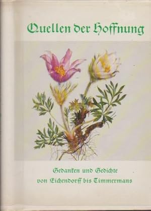 Seller image for Quellen der Hoffnung : Gedanken und Gedichte. von Brentano . [Ausw. der Texte: Eugen Hettinger] for sale by Schrmann und Kiewning GbR