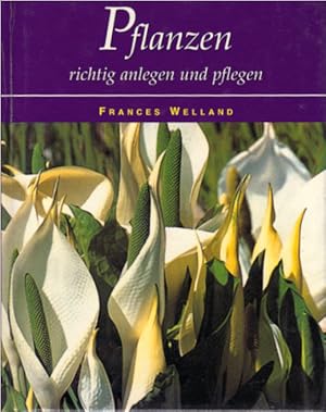 Imagen del vendedor de Pflanzen richtig anlegen und pflegen / Frances Welland. [Fotos Robert Ditchfield. bers.: Wolfgang Beuchelt .] a la venta por Schrmann und Kiewning GbR