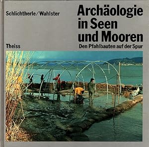 Archäologie in Seen und Mooren : Den Pfahlbauten auf der Spur.