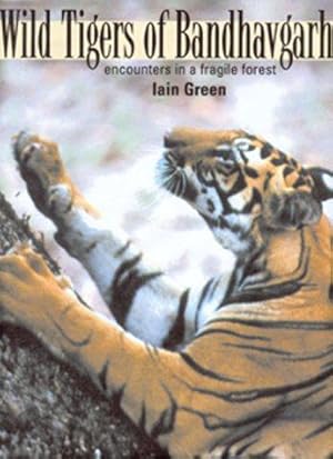 Bild des Verkufers fr Wild Tigers of Bandhavgarh: Encounters in a Fragile Forest zum Verkauf von WeBuyBooks