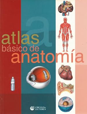 Bild des Verkufers fr Atlas bsico de anatoma zum Verkauf von Librera Cajn Desastre