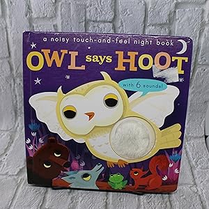 Noisy Touch and Feel: Owl Says Hoot
