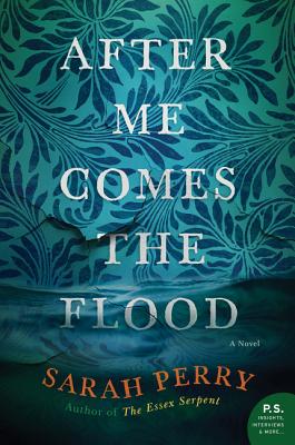 Image du vendeur pour After Me Comes the Flood (Paperback or Softback) mis en vente par BargainBookStores