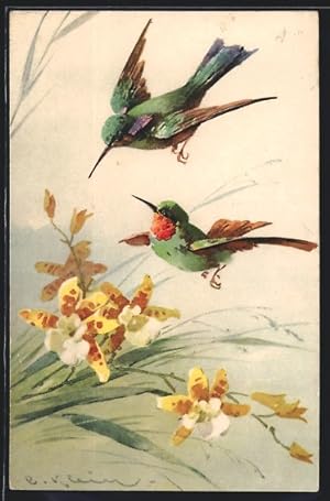 Bild des Verkufers fr Knstler-Ansichtskarte Catharina Klein: Kolibris und gelbe Blumen zum Verkauf von Bartko-Reher