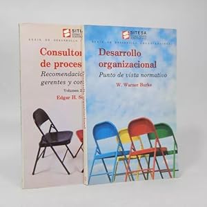 Imagen del vendedor de Consultora De Procesos Y Desarrollo Organizacional Ee2 a la venta por Libros librones libritos y librazos