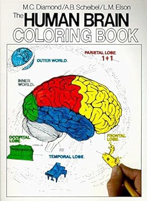 Seller image for The Human Brain Coloring Book: A Coloring Book (Coloring Concepts) for sale by WeBuyBooks 2