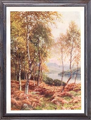 The Birches of Loch Achray in Perthshire,Scotland ,Vintage Watercolor Print