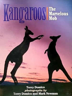 Seller image for Kangaroos for sale by Marlowes Books and Music