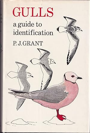 Image du vendeur pour GULLS: A GUIDE TO IDENTIFICATION. By P.J. Grant. mis en vente par Coch-y-Bonddu Books Ltd