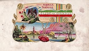 Gran Fabrica Tabacos. Flor de Mexico. Flor Fina. Landschaft mit Leuchtturm. Farbige Lithographie ...