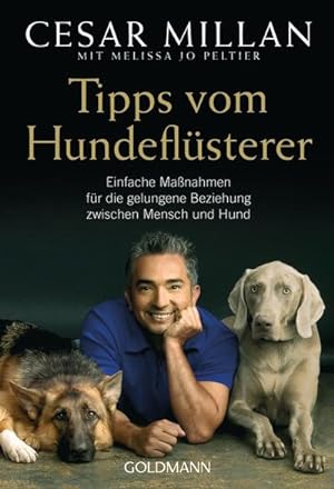 Immagine del venditore per Tipps vom Hundeflsterer venduto da BuchWeltWeit Ludwig Meier e.K.