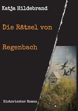 Image du vendeur pour Die Rtsel von Regenbach mis en vente par BuchWeltWeit Ludwig Meier e.K.