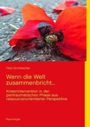 Seller image for Wenn die Welt zusammenbricht. for sale by BuchWeltWeit Ludwig Meier e.K.