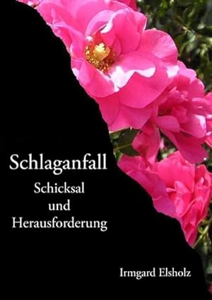 Imagen del vendedor de Schlaganfall a la venta por BuchWeltWeit Ludwig Meier e.K.