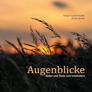 Seller image for Augenblicke for sale by BuchWeltWeit Ludwig Meier e.K.