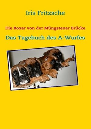 Seller image for Die Boxer von der Mngstener Brcke for sale by BuchWeltWeit Ludwig Meier e.K.