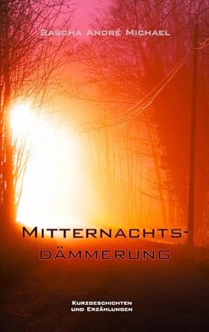 Image du vendeur pour Mitternachtsdmmerung mis en vente par BuchWeltWeit Ludwig Meier e.K.