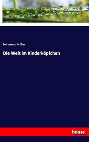 Imagen del vendedor de Die Welt im Kinderkpfchen a la venta por BuchWeltWeit Ludwig Meier e.K.