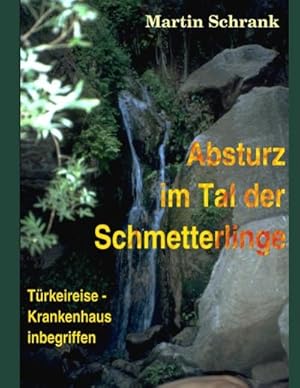 Seller image for Absturz im Tal der Schmetterlinge for sale by BuchWeltWeit Ludwig Meier e.K.