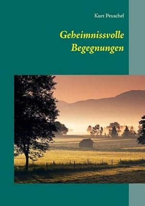 Image du vendeur pour Geheimnissvolle Begegnungen mis en vente par BuchWeltWeit Ludwig Meier e.K.