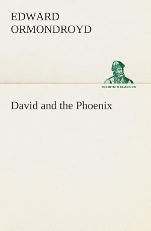 Seller image for David and the Phoenix for sale by BuchWeltWeit Ludwig Meier e.K.