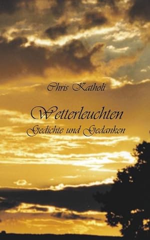 Seller image for Wetterleuchten for sale by BuchWeltWeit Ludwig Meier e.K.