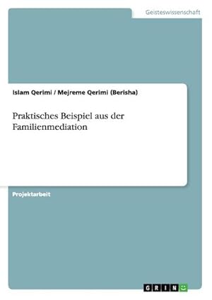 Seller image for Praktisches Beispiel aus der Familienmediation for sale by BuchWeltWeit Ludwig Meier e.K.