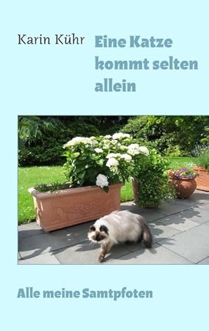 Bild des Verkufers fr Eine Katze kommt selten allein zum Verkauf von BuchWeltWeit Ludwig Meier e.K.