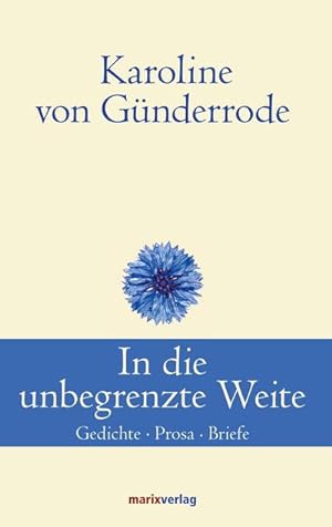 Bild des Verkufers fr In die unbegrenzte Weite zum Verkauf von BuchWeltWeit Ludwig Meier e.K.