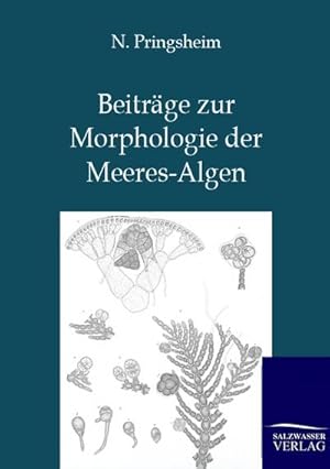 Seller image for Beitrge zur Morphologie der Meeres-Algen for sale by BuchWeltWeit Ludwig Meier e.K.