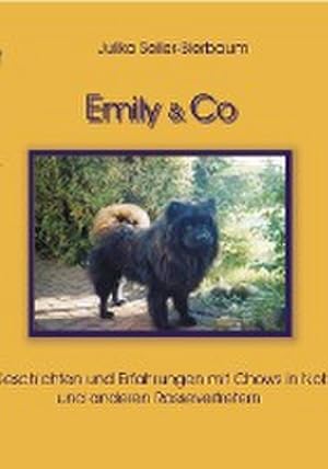 Seller image for Emily & Co. for sale by BuchWeltWeit Ludwig Meier e.K.