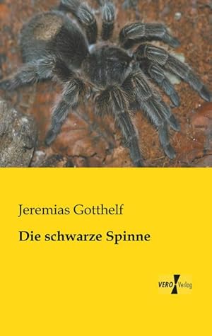 Immagine del venditore per Die schwarze Spinne venduto da BuchWeltWeit Ludwig Meier e.K.