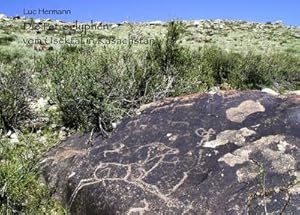 Bild des Verkufers fr Die Petroglyphen vom Usektal in Kasachstan zum Verkauf von BuchWeltWeit Ludwig Meier e.K.