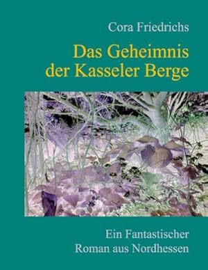Seller image for Das Geheimnis der Kasseler Berge for sale by BuchWeltWeit Ludwig Meier e.K.
