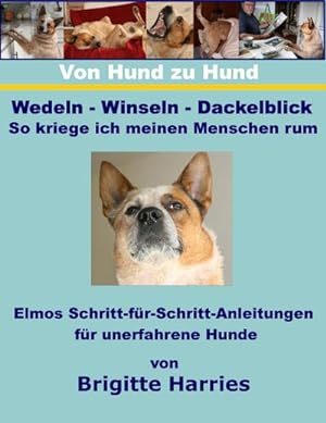 Seller image for Von Hund zu Hund - Wedeln-Winseln-Dackelblick - So kriege ich meinen Menschen rum for sale by BuchWeltWeit Ludwig Meier e.K.