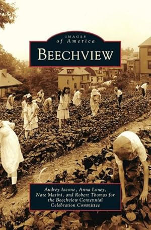 Seller image for Beechview for sale by BuchWeltWeit Ludwig Meier e.K.
