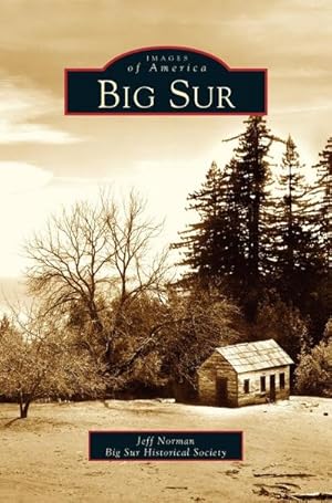 Seller image for Big Sur for sale by BuchWeltWeit Ludwig Meier e.K.