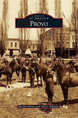 Seller image for Provo for sale by BuchWeltWeit Ludwig Meier e.K.