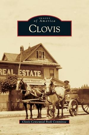 Seller image for Clovis for sale by BuchWeltWeit Ludwig Meier e.K.