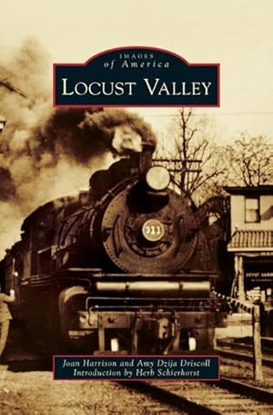 Imagen del vendedor de Locust Valley a la venta por BuchWeltWeit Ludwig Meier e.K.