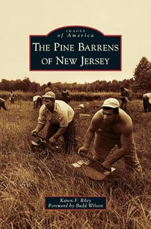 Seller image for Pine Barrens of New Jersey for sale by BuchWeltWeit Ludwig Meier e.K.