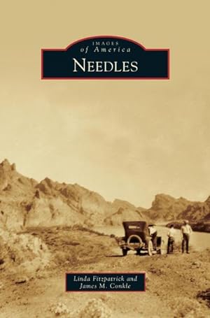 Seller image for Needles for sale by BuchWeltWeit Ludwig Meier e.K.