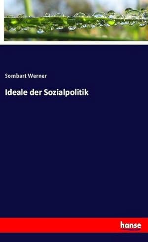 Bild des Verkufers fr Ideale der Sozialpolitik zum Verkauf von BuchWeltWeit Ludwig Meier e.K.